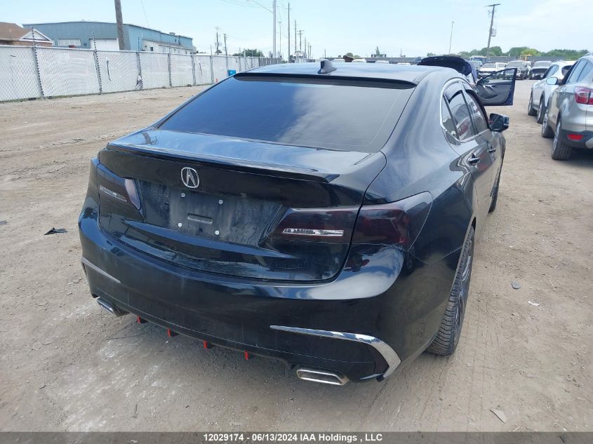 2018 Acura Tlx VIN: 19UUB3F35JA800899 Lot: 12029174