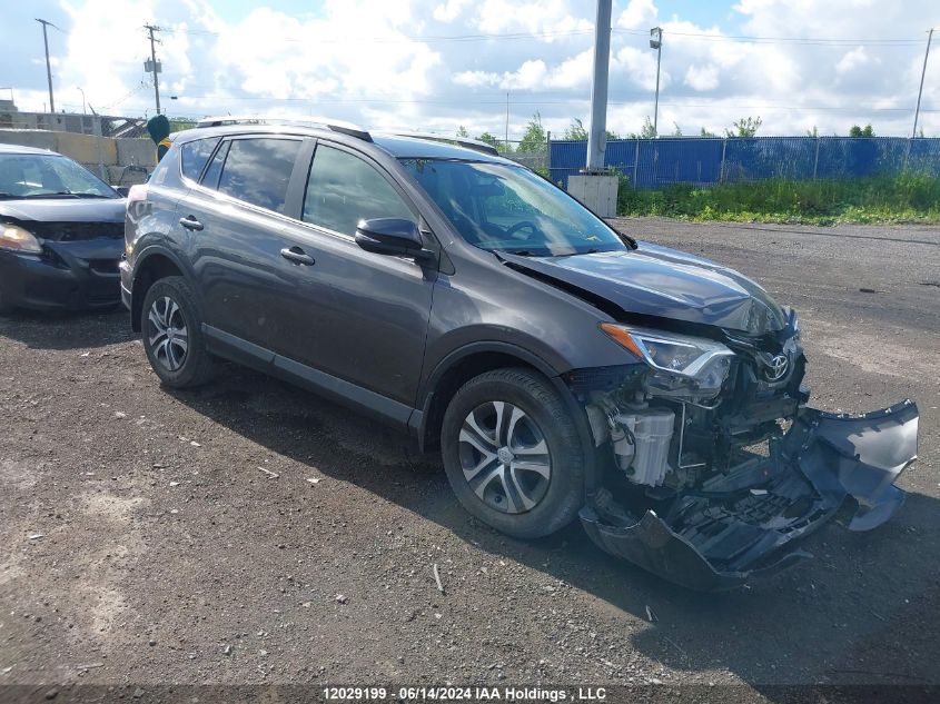 2016 Toyota Rav4 Le VIN: 2T3BFREV8GW429294 Lot: 12029199