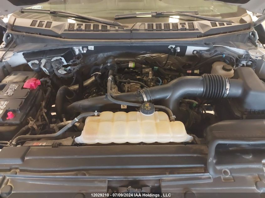 2019 Ford F150 Super Cab VIN: 1FTEX1EPXKKD53317 Lot: 12029210