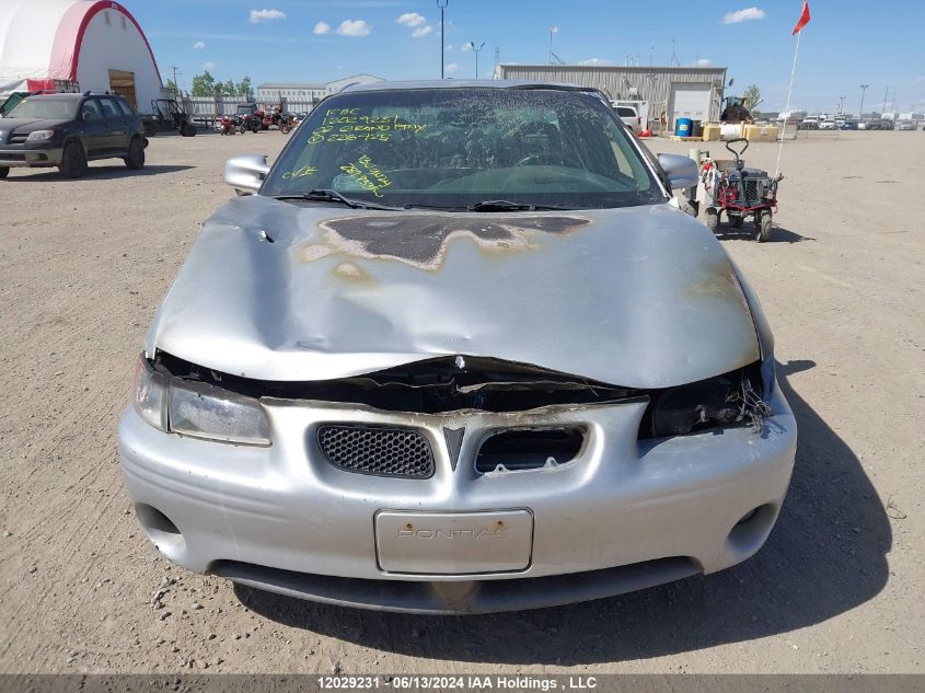 2002 Pontiac Grand Prix VIN: 1G2WR521X2F226425 Lot: 12029231