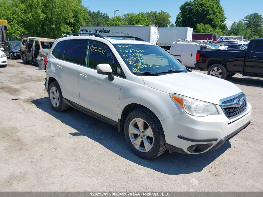 2014 Subaru Forester VIN: JF2SJCLC4EH423610 Lot: 12029241