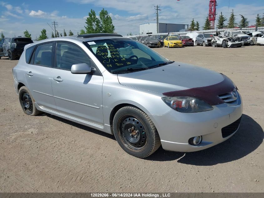 2005 Mazda Mazda3 VIN: JM1BK143951221028 Lot: 12029266