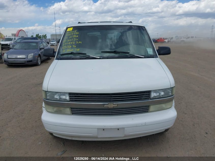 2003 Chevrolet Astro Passenger VIN: 1GNEL19X73B100230 Lot: 12029280