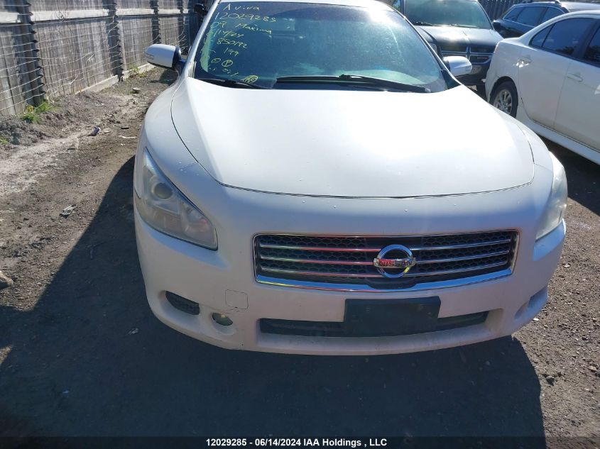 2009 Nissan Maxima 3.5 S VIN: 1N4AA51E69C850192 Lot: 12029285