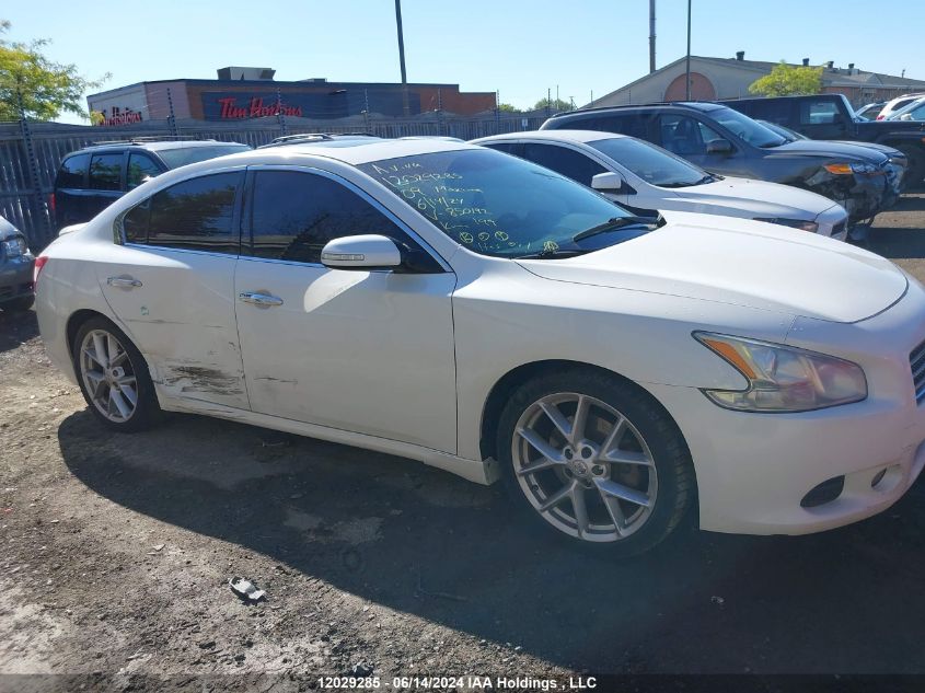 2009 Nissan Maxima 3.5 S VIN: 1N4AA51E69C850192 Lot: 12029285
