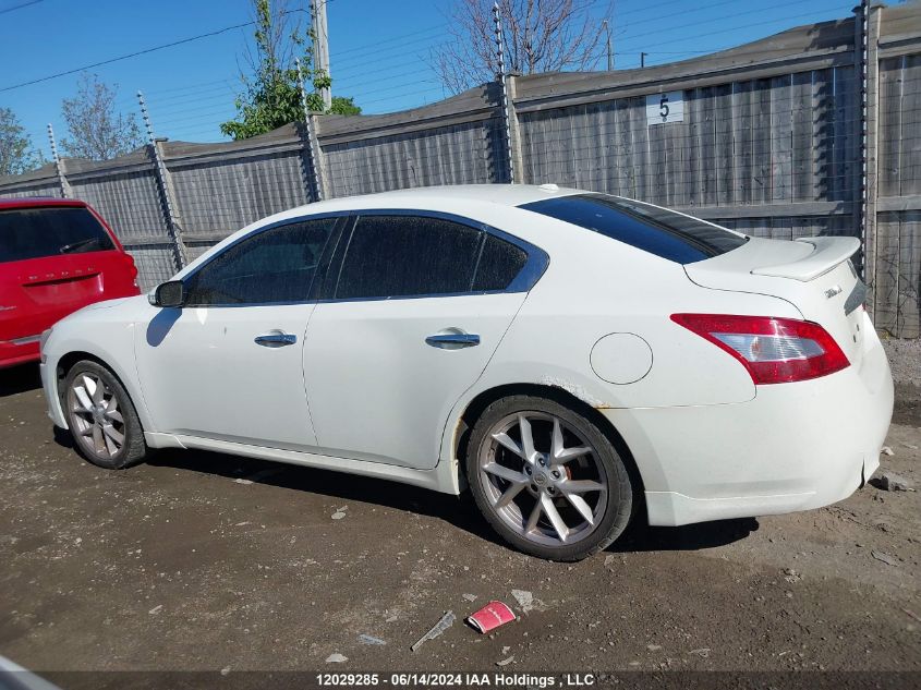 2009 Nissan Maxima 3.5 S VIN: 1N4AA51E69C850192 Lot: 12029285