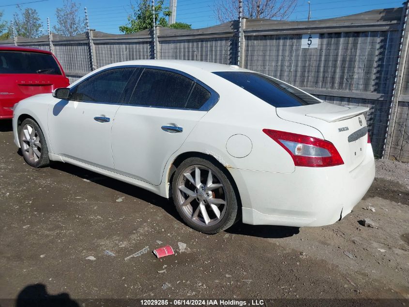 2009 Nissan Maxima 3.5 S VIN: 1N4AA51E69C850192 Lot: 12029285