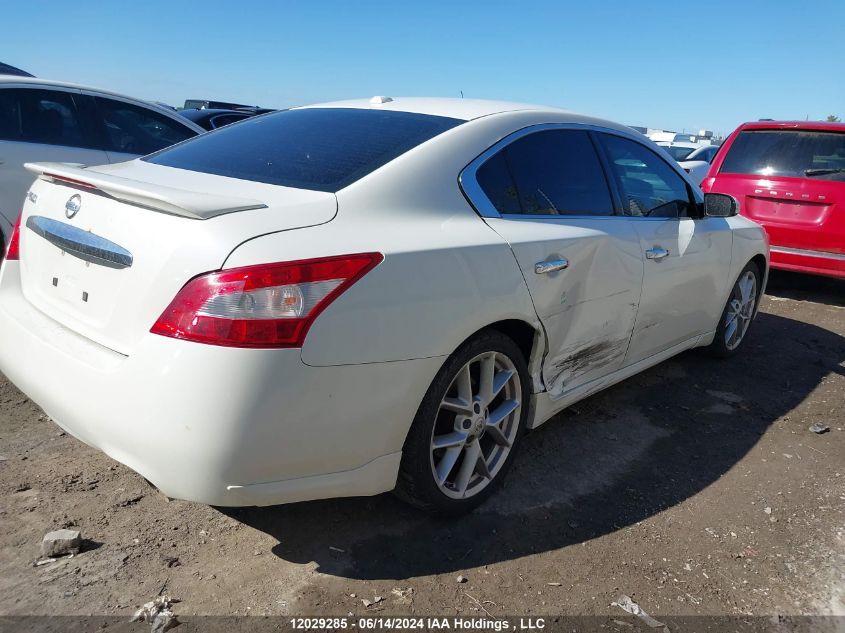 2009 Nissan Maxima 3.5 S VIN: 1N4AA51E69C850192 Lot: 12029285