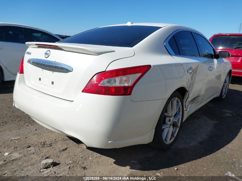 2009 Nissan Maxima 3.5 S VIN: 1N4AA51E69C850192 Lot: 12029285