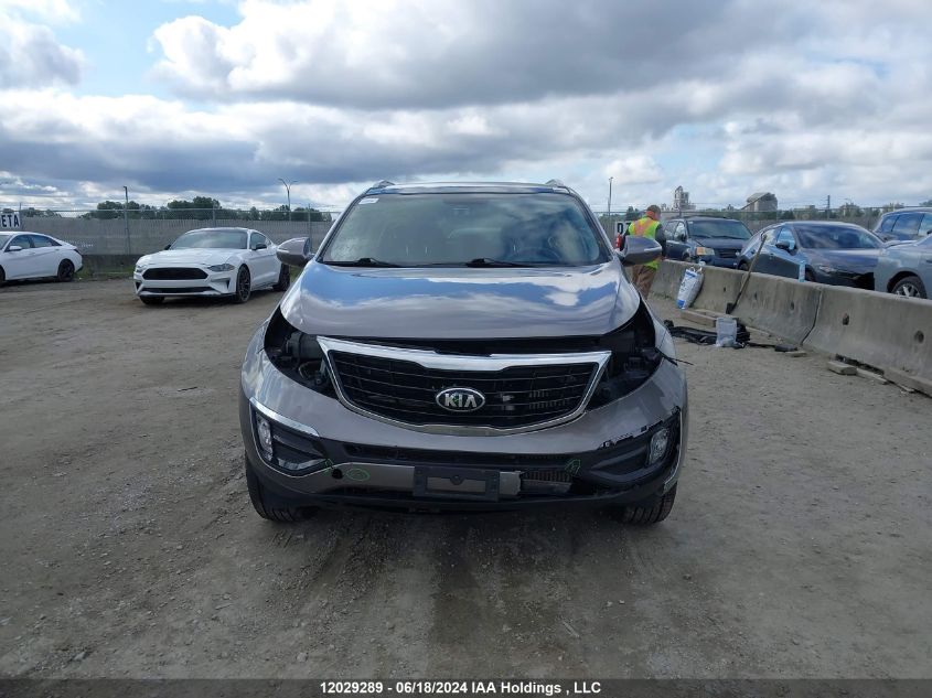 2014 Kia Sportage VIN: KNDPCCA63E7584967 Lot: 12029289