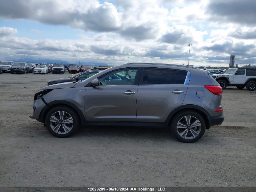 2014 Kia Sportage VIN: KNDPCCA63E7584967 Lot: 12029289