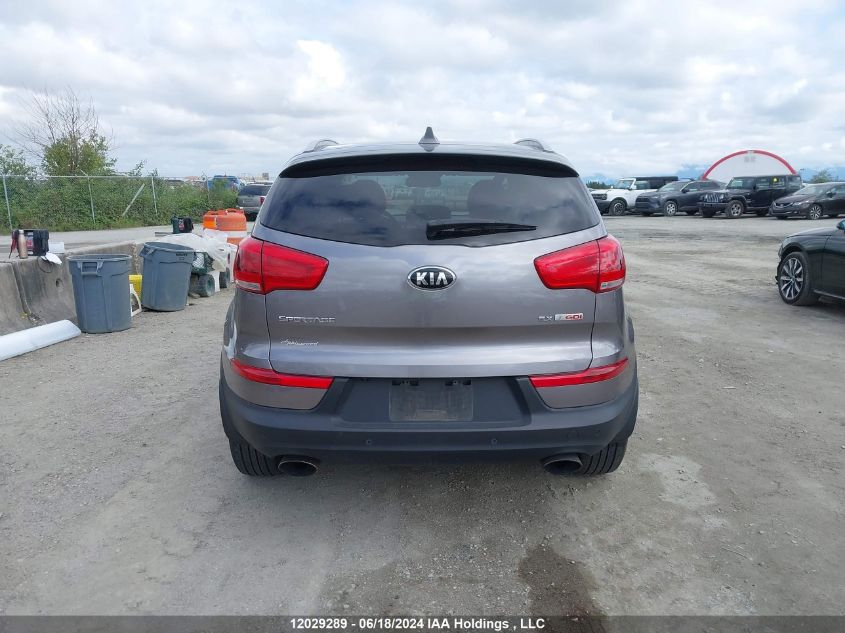 2014 Kia Sportage VIN: KNDPCCA63E7584967 Lot: 12029289