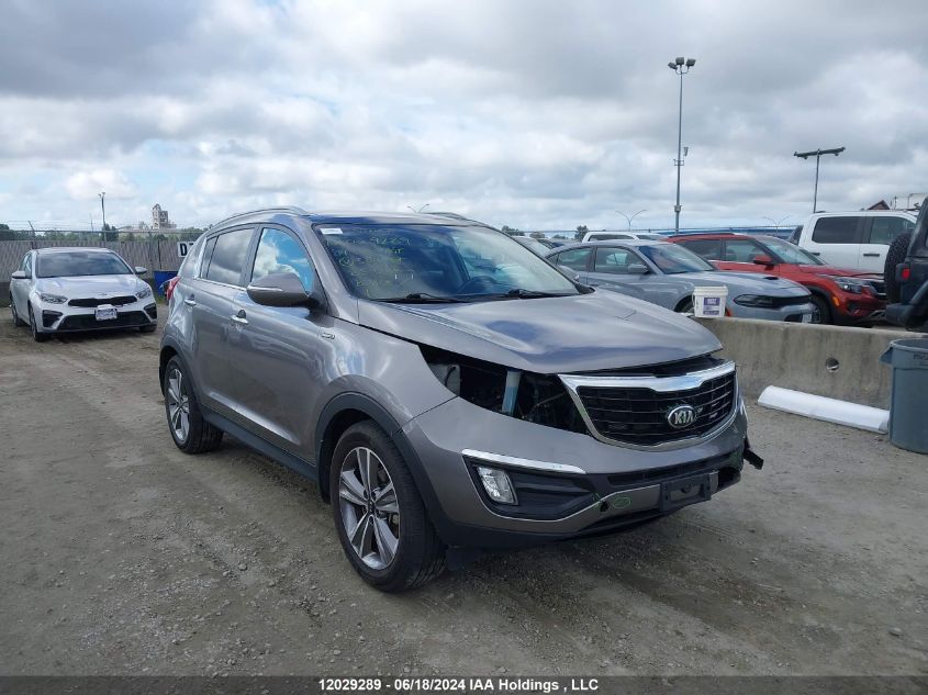 2014 Kia Sportage VIN: KNDPCCA63E7584967 Lot: 12029289