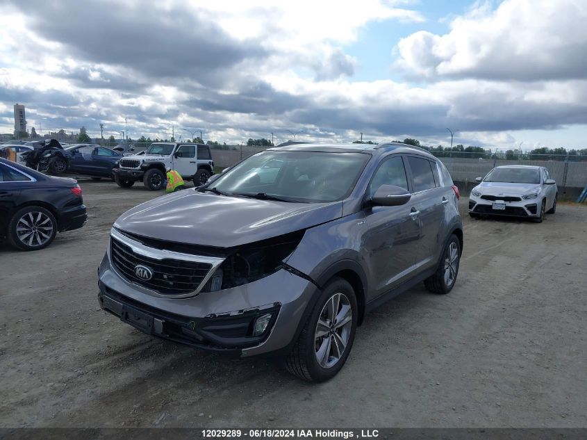 2014 Kia Sportage VIN: KNDPCCA63E7584967 Lot: 12029289