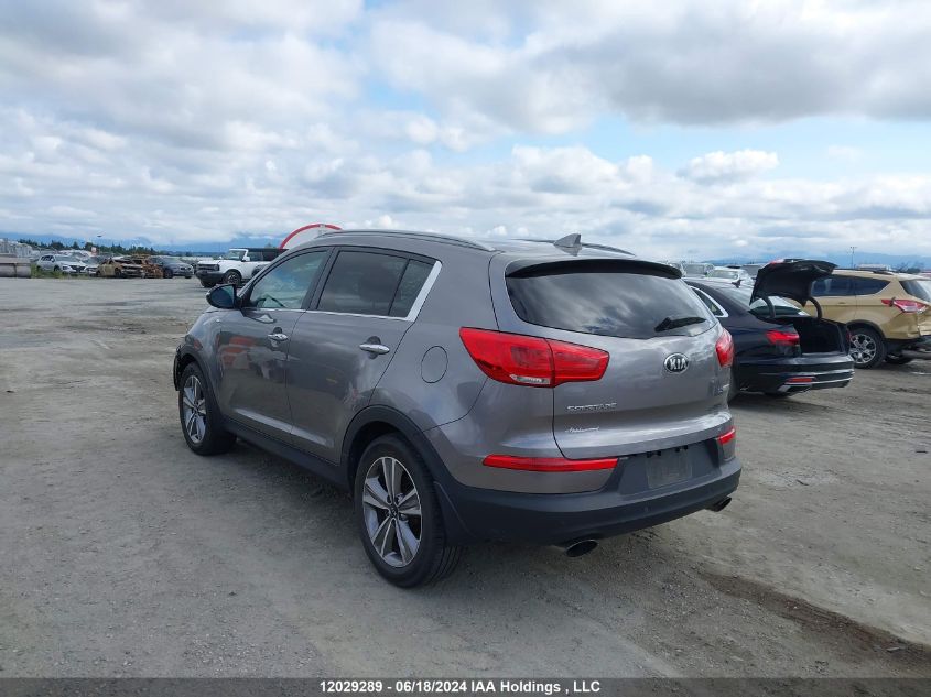 2014 Kia Sportage VIN: KNDPCCA63E7584967 Lot: 12029289