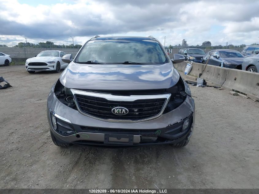 2014 Kia Sportage VIN: KNDPCCA63E7584967 Lot: 12029289