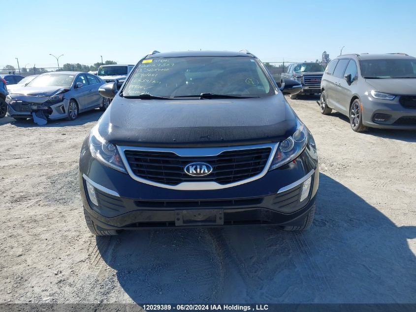 2013 Kia Sportage VIN: KNDPB3A25D7401681 Lot: 12029389