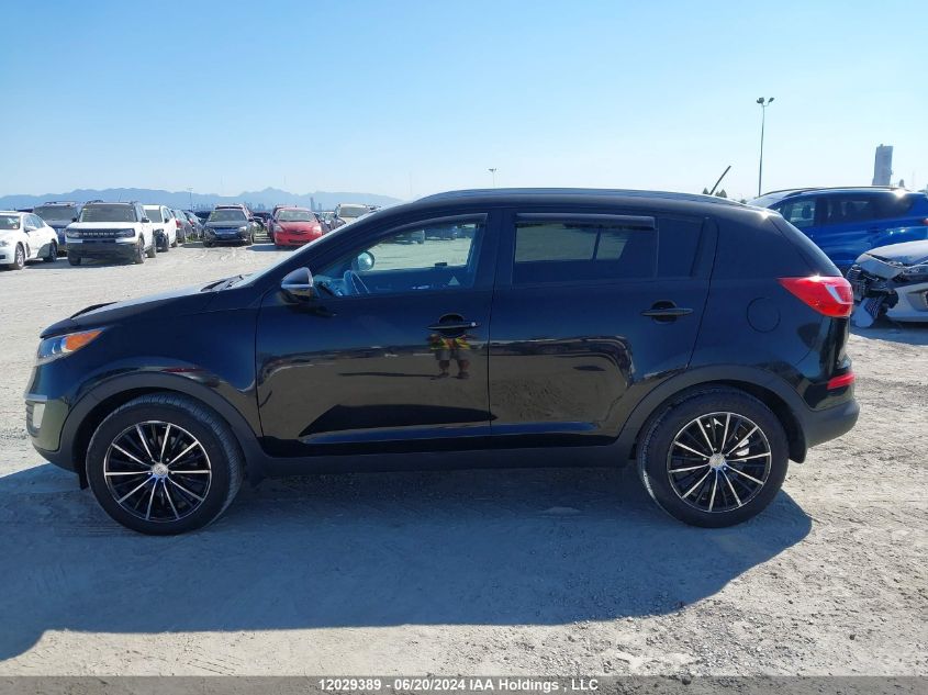 2013 Kia Sportage VIN: KNDPB3A25D7401681 Lot: 12029389