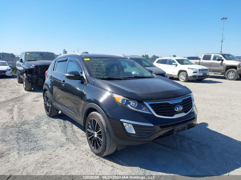 2013 Kia Sportage VIN: KNDPB3A25D7401681 Lot: 12029389