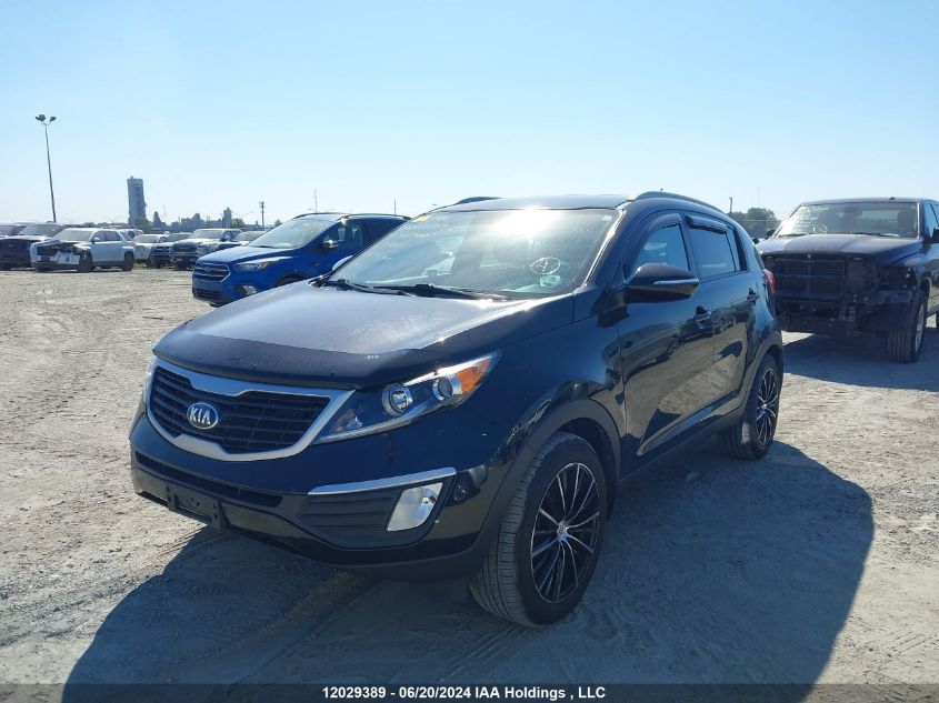 2013 Kia Sportage VIN: KNDPB3A25D7401681 Lot: 12029389