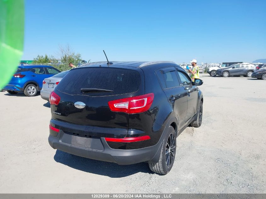 2013 Kia Sportage VIN: KNDPB3A25D7401681 Lot: 12029389