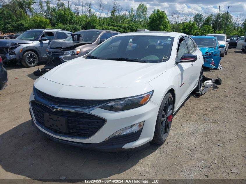 2021 Chevrolet Malibu VIN: 1G1ZD5ST8MF042721 Lot: 12029459