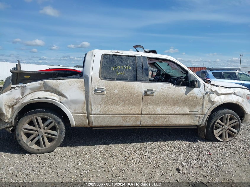 2013 Ford F150 Supercrew VIN: 1FTFW1ETXDFC67621 Lot: 12029566