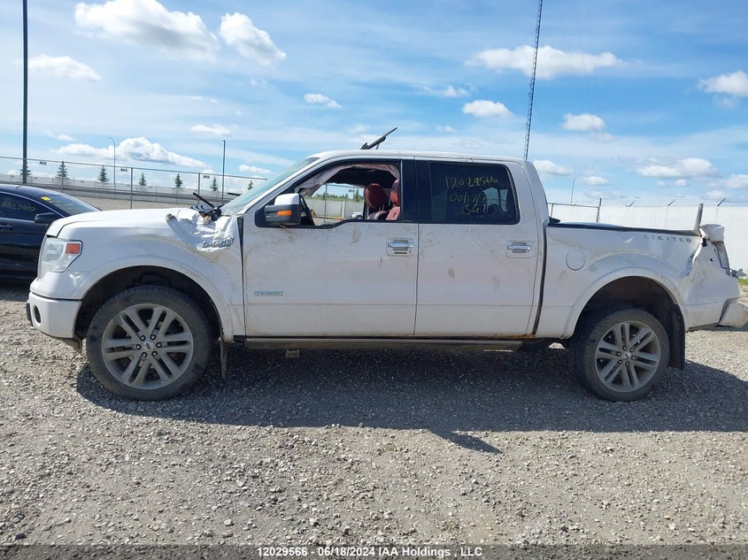 2013 Ford F150 Supercrew VIN: 1FTFW1ETXDFC67621 Lot: 12029566