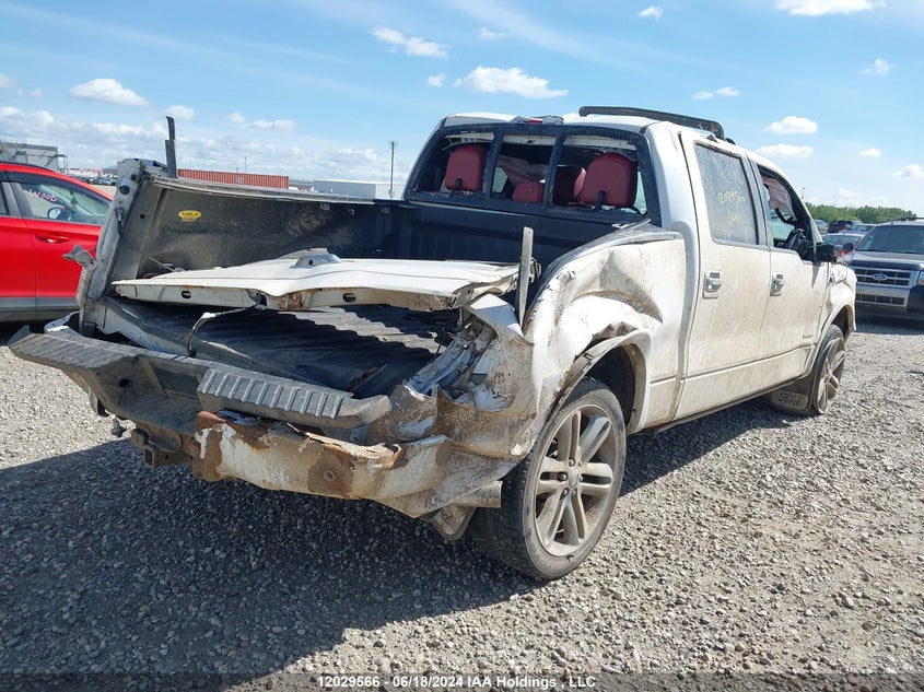 2013 Ford F150 Supercrew VIN: 1FTFW1ETXDFC67621 Lot: 12029566