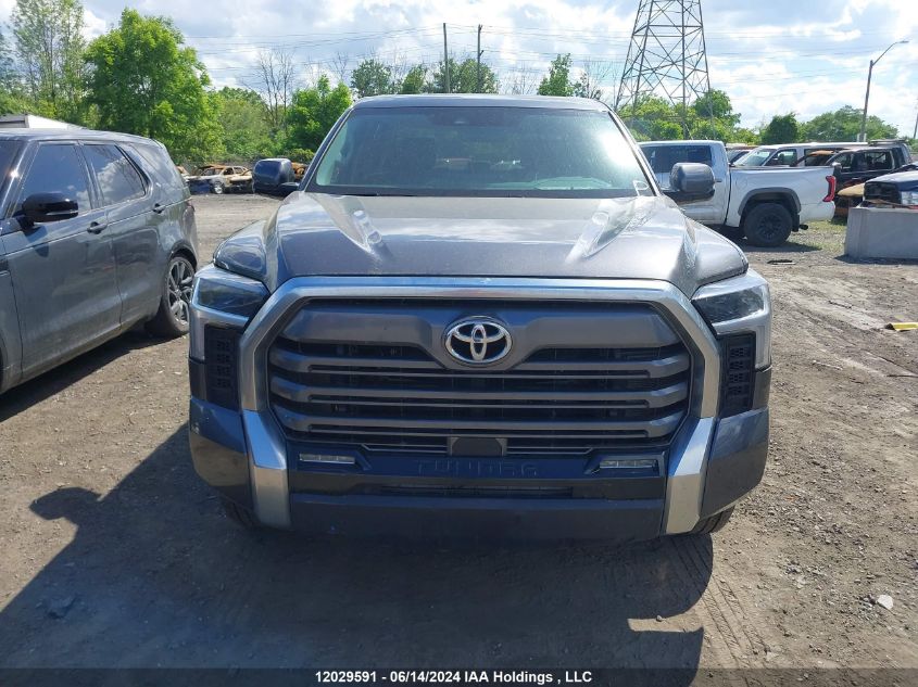 2023 Toyota Tundra Limited VIN: 5TFJA5DBXPX064767 Lot: 12029591