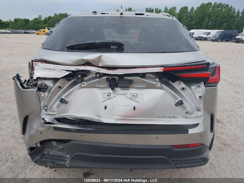 2022 Lexus Nx 350 VIN: JTJGGCEZ8N5002248 Lot: 12029623