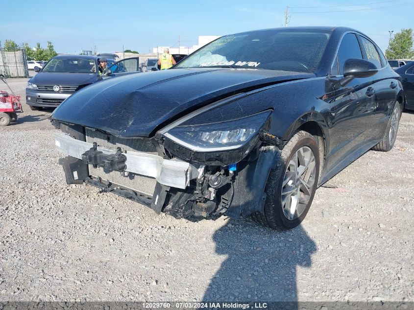 2022 Hyundai Sonata Preferred VIN: 5NPEG4JA5NH146050 Lot: 12029760