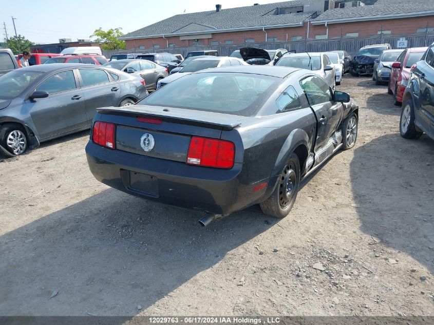 2008 Ford Mustang VIN: 1ZVHT80N385190831 Lot: 12029763