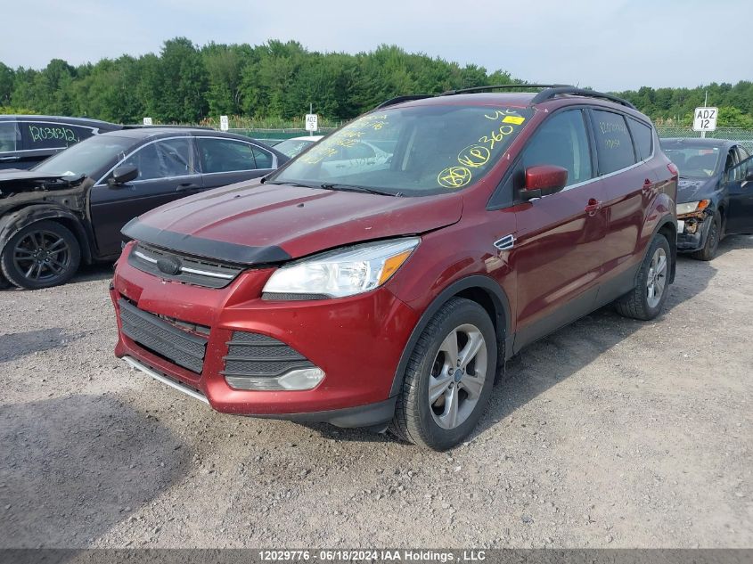 2014 Ford Escape Se VIN: 1FMCU0G96EUC87622 Lot: 12029776