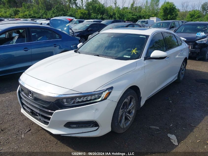 2019 Honda Accord Sedan VIN: 1HGCV1F54KA801035 Lot: 12029813