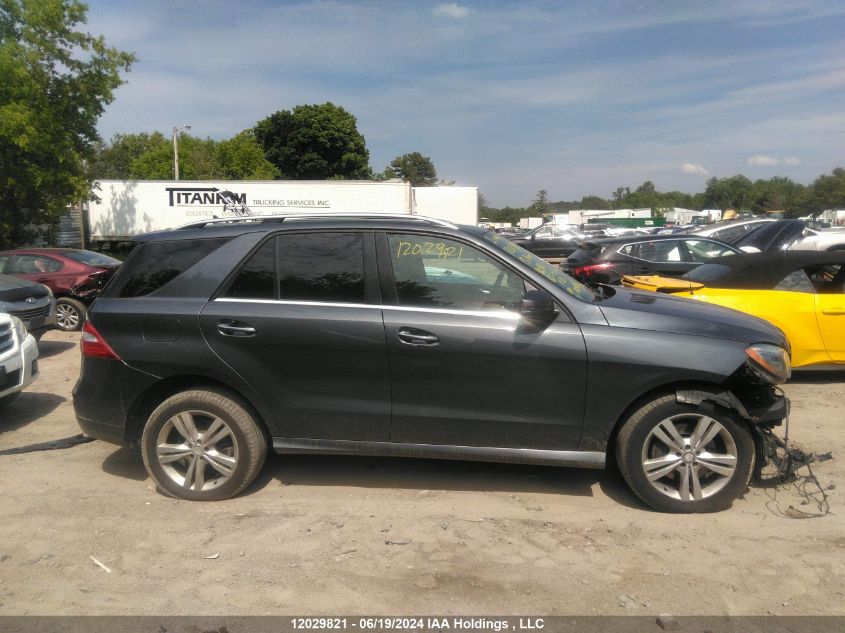 2013 Mercedes-Benz M-Class VIN: 4JGDA2EB8DA110861 Lot: 12029821