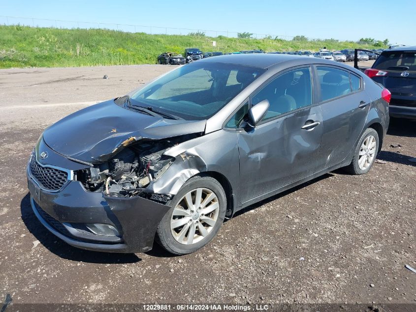 2014 Kia Forte VIN: KNAFX4A69E5057823 Lot: 12029881