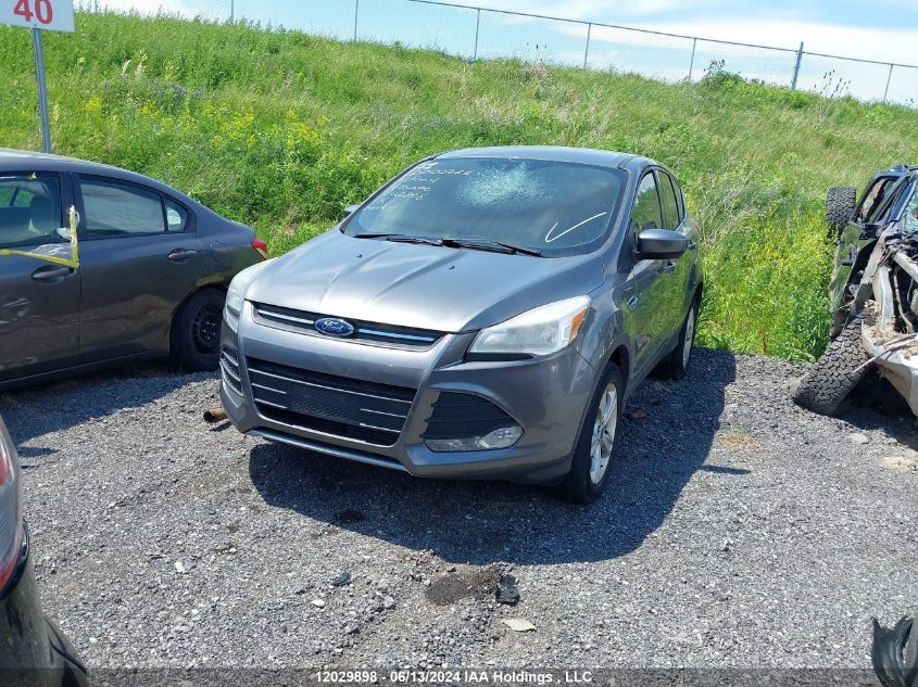 2014 Ford Escape Se VIN: 1FMCU0G93EUE42806 Lot: 12029898