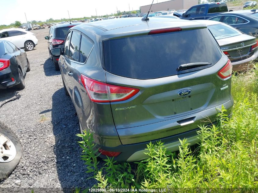 2014 Ford Escape Se VIN: 1FMCU0G93EUE42806 Lot: 12029898