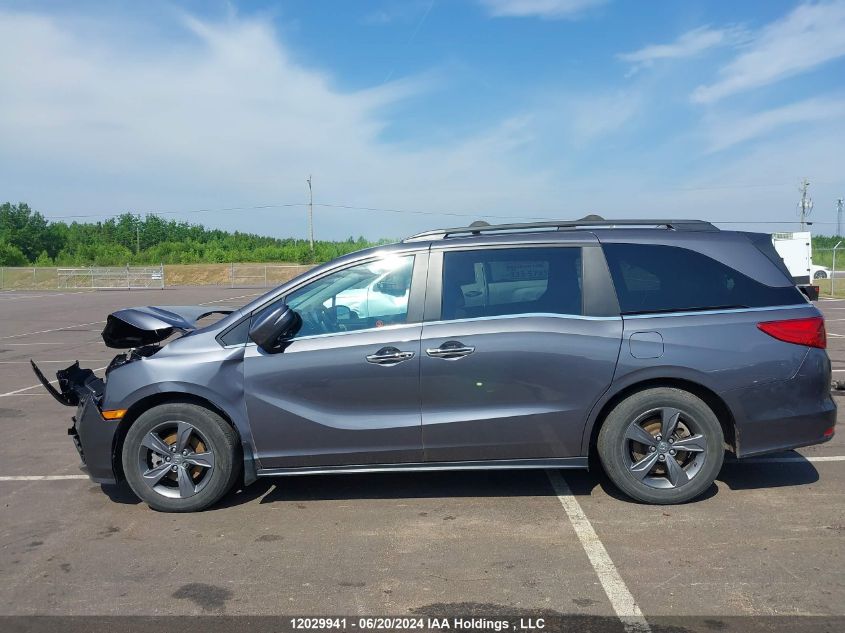 2022 Honda Odyssey VIN: 5FNRL6H47NB503512 Lot: 12029941