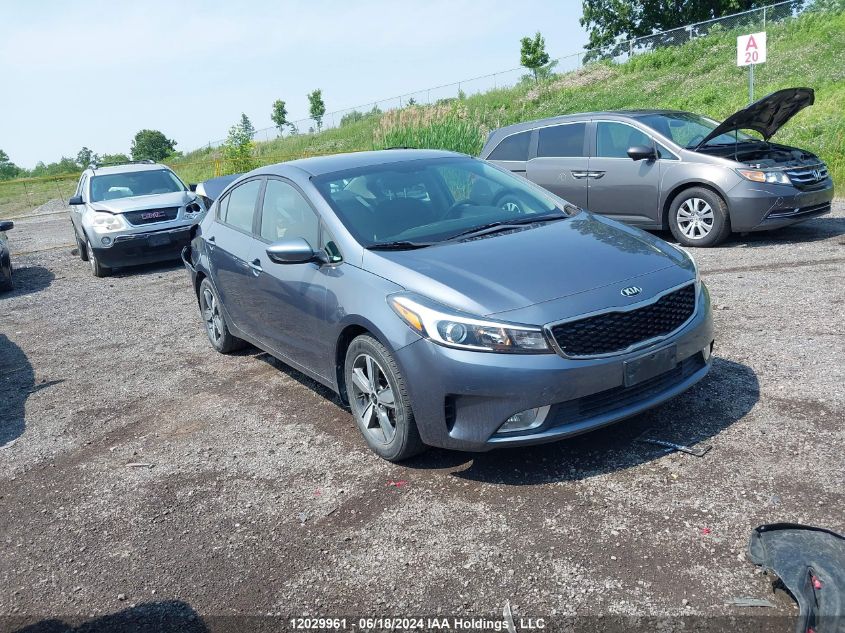 2018 Kia Forte VIN: 3KPFL4A70JE205217 Lot: 12029961