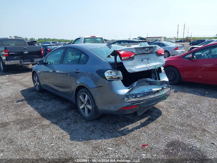 2018 Kia Forte VIN: 3KPFL4A70JE205217 Lot: 12029961