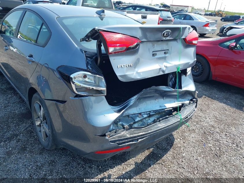 2018 Kia Forte VIN: 3KPFL4A70JE205217 Lot: 12029961