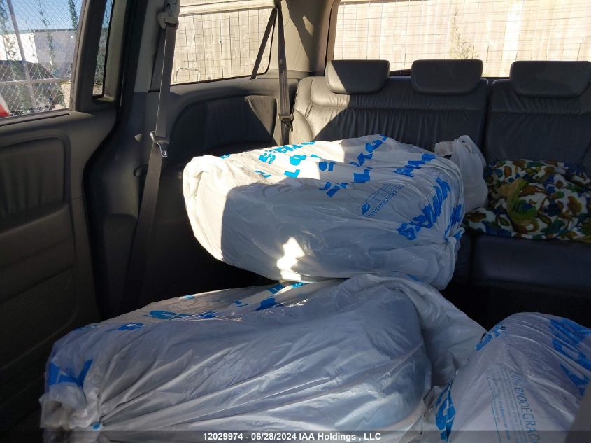 2007 Honda Odyssey VIN: 5FNRL38697B509007 Lot: 12029974