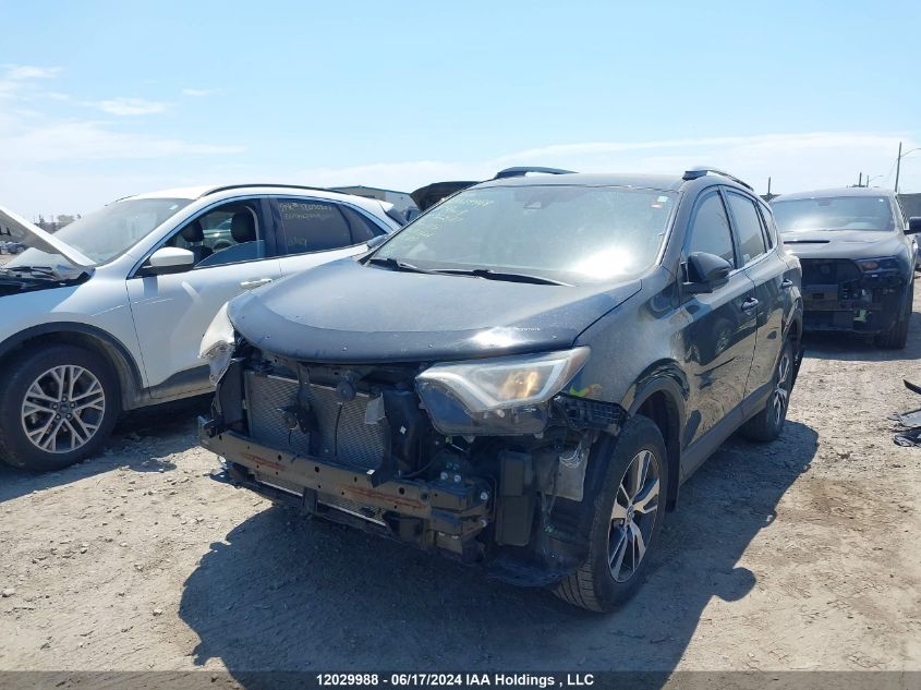 2017 Toyota Rav4 Xle VIN: 2T3WFREV1HW362587 Lot: 12029988