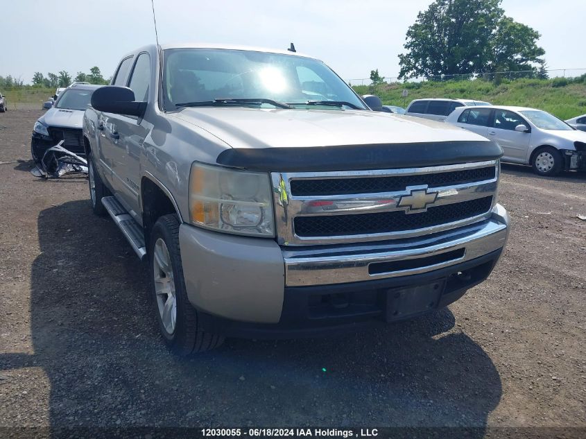 2009 Chevrolet Silverado K1500/K1500 Ls VIN: 3GCEK13CX9G245389 Lot: 12030055