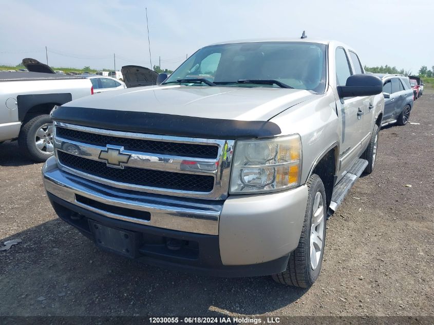 2009 Chevrolet Silverado K1500/K1500 Ls VIN: 3GCEK13CX9G245389 Lot: 12030055