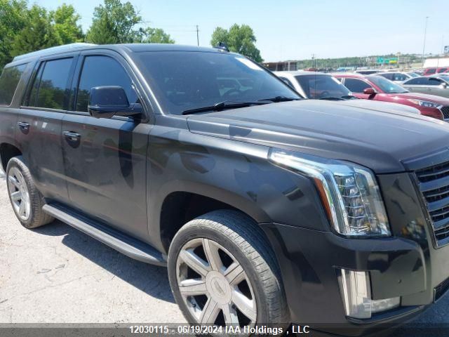 2015 Cadillac Escalade VIN: 1GYS4NKJ3FR586045 Lot: 12030115