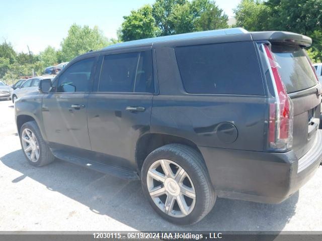 2015 Cadillac Escalade VIN: 1GYS4NKJ3FR586045 Lot: 12030115