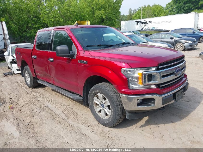 2019 Ford F-150 Xlt VIN: 1FTEW1EB0KFC71886 Lot: 12030172